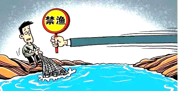 辽河禁渔期开始非法捕捞后果很严重