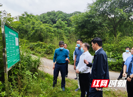 长沙市副市长市副林长肖正波到高新区开展巡林工作