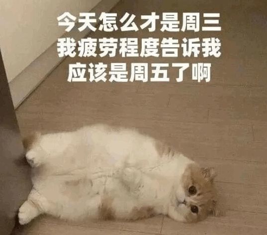 表情包怎么才周三