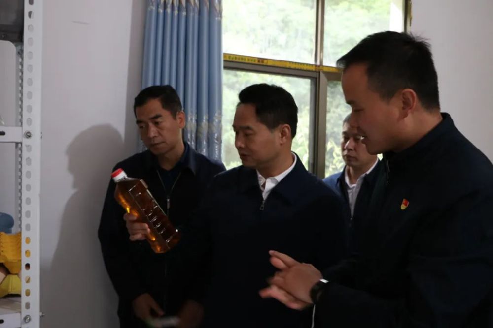 市委常委市委组织部部长杨东伟率队到转龙镇开展专题调研