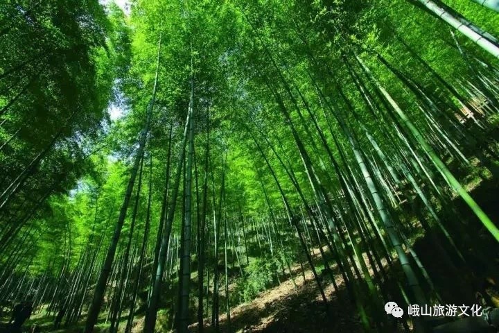 云南玉溪讓天更藍、山更綠、水更清(圖1)