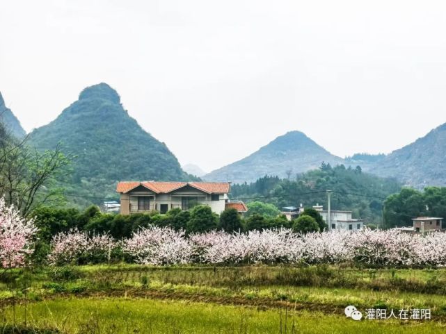 图说灌阳:桂阳杨家田