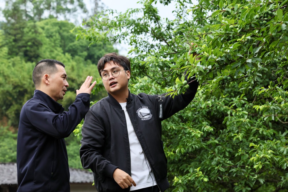 县长庆镇中洋村,花生种植大户朱春强在向台湾青年詹竣杰(左)介绍花