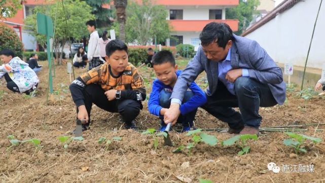 白山镇明德小学学生 徐伟然"在这次活动中,认识了