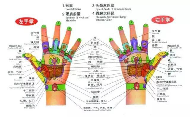 人体五大反射区,有图备查