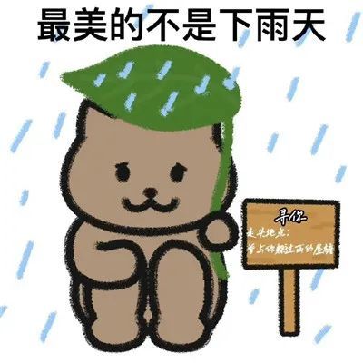 猫猫表情包雨淋湿了天空毁的很讲究