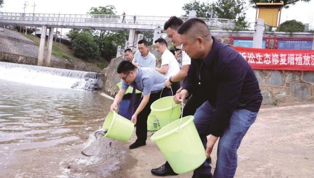 长沙县资讯|万尾鱼苗畅游入河,助力河湖生态修复