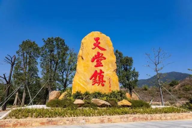 走进天堂镇看农业特色农业为乡村振兴添砖加瓦