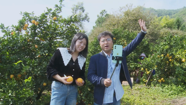 赣南脐橙网图片3