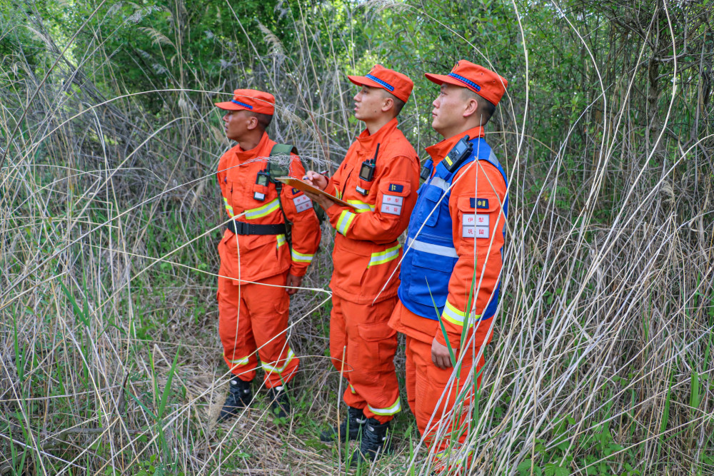 新疆巩留县森林消防深入林区巡山踏查筑牢防火安全屏障