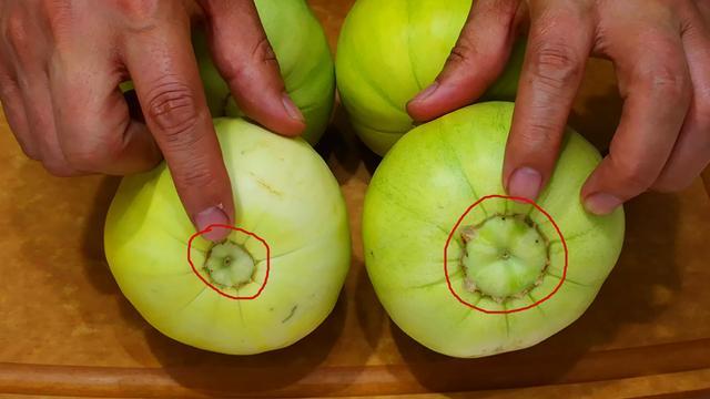 瓜农爷爷说:牢记这3点,一挑一个准|甜瓜|瓜蒂