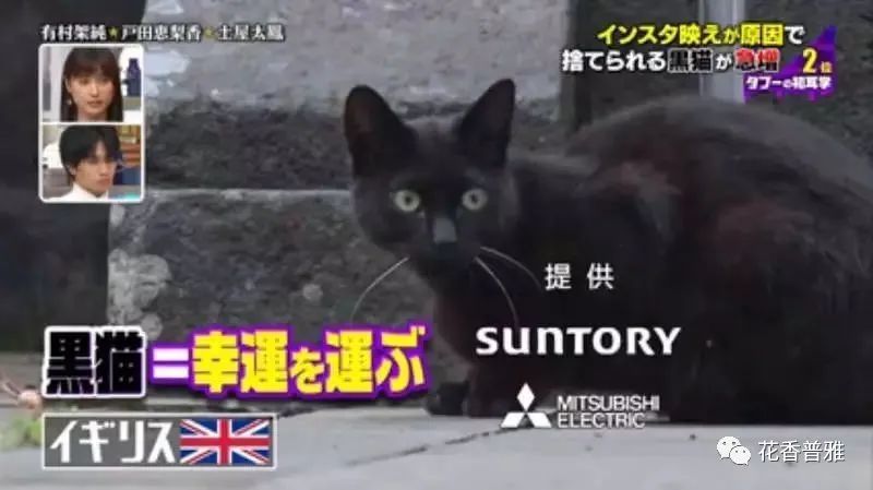 在英国,黑猫本是"能够带来幸运"的象征,然而近年来对黑猫的弃养已经