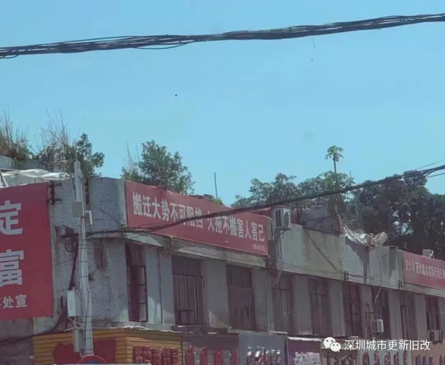 红岭中学大鹏校区学区