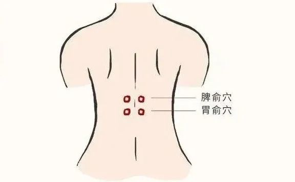 5寸.【胃俞穴位位置图】附注