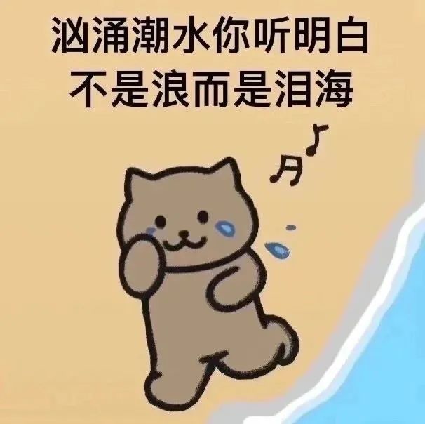 杰伦歌词猫猫表情包