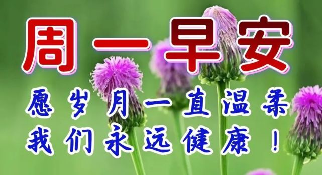 漂亮周一早上好祝福图片,早上好祝福语句