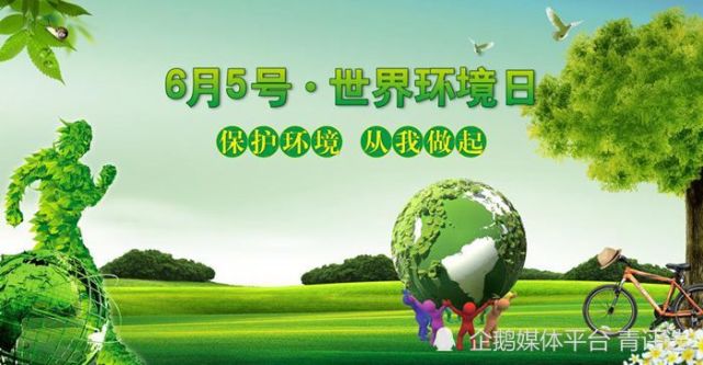 在全球环境不断遭遇破坏的大背景下,通过开展世界环境保护活动,能够