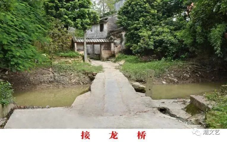 接龙桥而普宁地区现存的很多古桥却是因地制宜,它们根据当地的风水,水