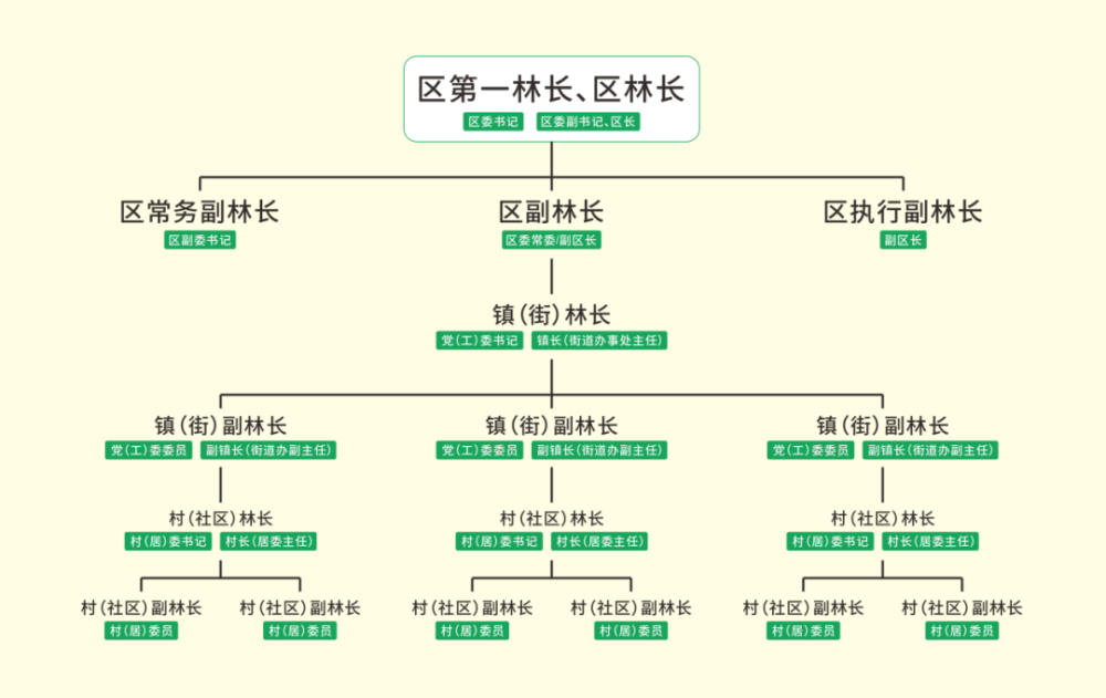 创新森林资源管护机制建立三级林长体系增城区通过构建组织领导架构为