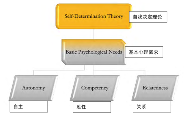 运动心理学|超越重复次数和组数—体能教练将自我决定理论(sdt)引入