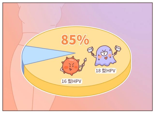 hpv的特点和分类-济南青华医院