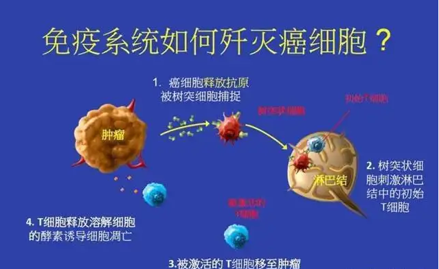 中医抗癌_钟南山 中医抗癌_金华抗癌中医
