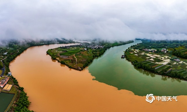 5月中旬,广西左江流域遭遇强降雨造成江水暴涨且泥沙俱下,浑浊而泛黄