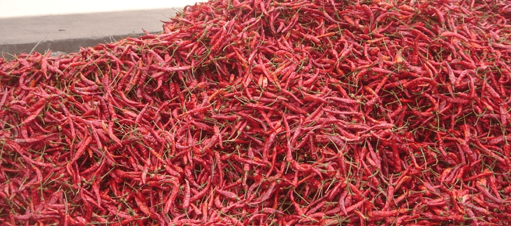 多彩贵州诗画绥阳辣椒美食节之绥阳辣椒及农特产品参评选手都在这里咯