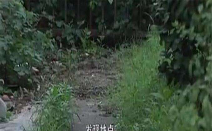 2008年九天化尸迷案少年被害身亡最后只剩一副骨架