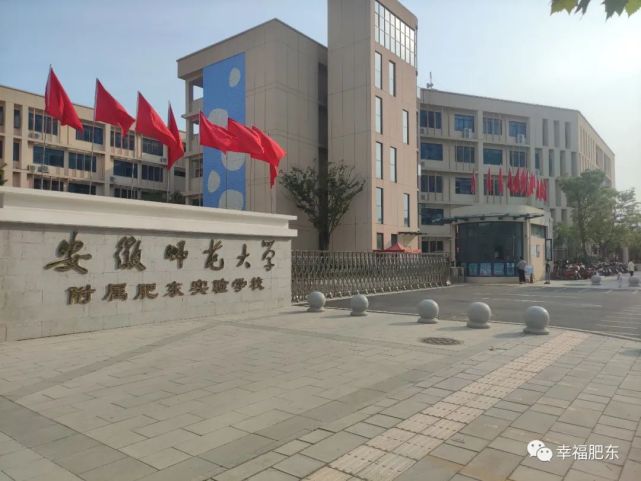 安师大附属肥东实验学校安师大附属肥东实验中学看完别急着走哦~给小