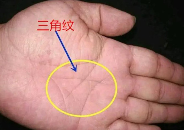 从手掌中的纹路来看,主要可以分为感情线,智慧线,生命线三种.