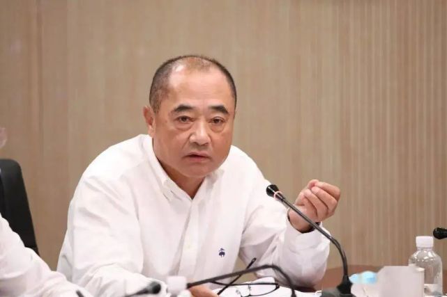 海航新董事长:飞行员出身 刚在南航退休