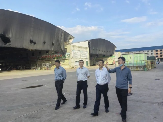 徐双文调研优化营商环境民主监督工作|徐双文|民革市委会|市人大