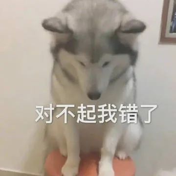 表情包:可不可以乖一点