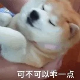 表情包:可不可以乖一点