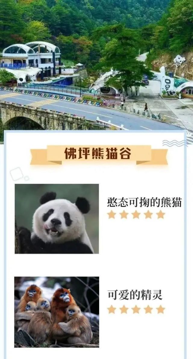 99元抢佛坪熊猫谷原价50元门票1张22度的初夏带孩子近距离观赏国宝大