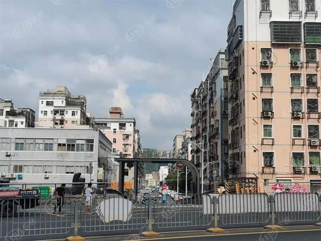 它的旁边就是雪象花园新村,坂雪岗有名的城中村之一,远远望去,一排排