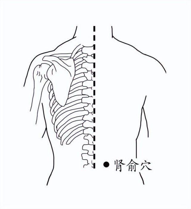 图源:家庭医生原创图方法:双掌摩擦至热后,将掌心贴于肾俞穴,如此反复