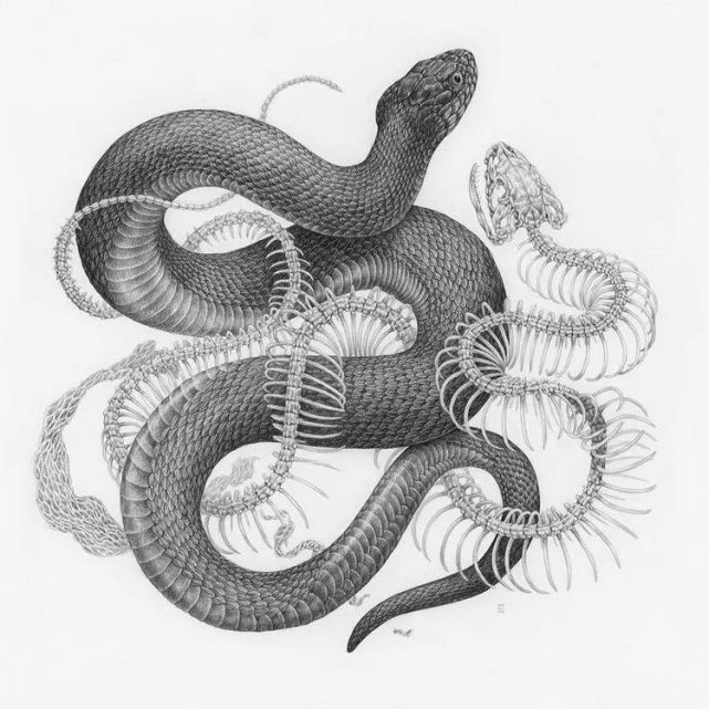 她把一座森林装进画里,超大尺寸的素描画作,让人震撼不已