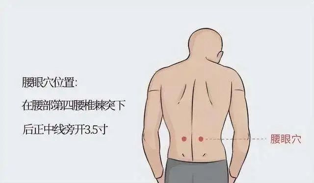 腰眼穴:强腰健肾