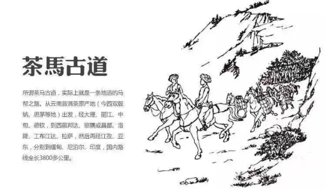 999朋友圈|喜洲马帮世家—端午多肉庄园喜乐会
