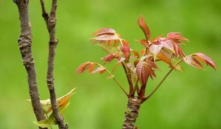 天富線(xiàn)路測(cè)速_天富注冊(cè)網(wǎng)址_天富開(kāi)號(hào)