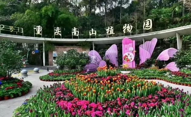 (2)重庆南山植物园,位于重庆市南岸区南山植物园路101号.