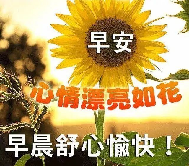 6张最新创意好看的早安早上好图片带祝福语 早安问候祝福语图片带字