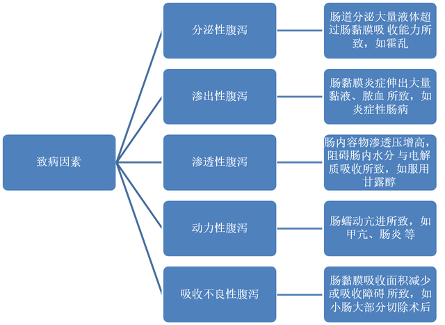 消化系统疾病,如肠结核,炎症性肠病,胃大切术后胃酸缺乏等.