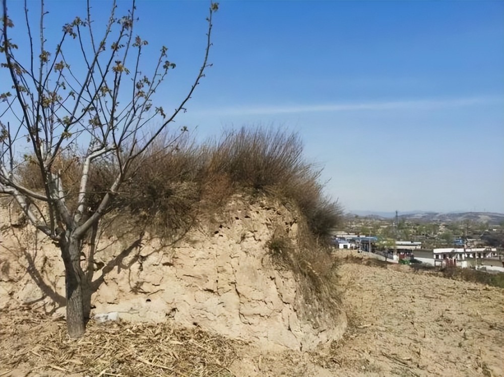 汾阳历史名人朱子俊在芦家垣