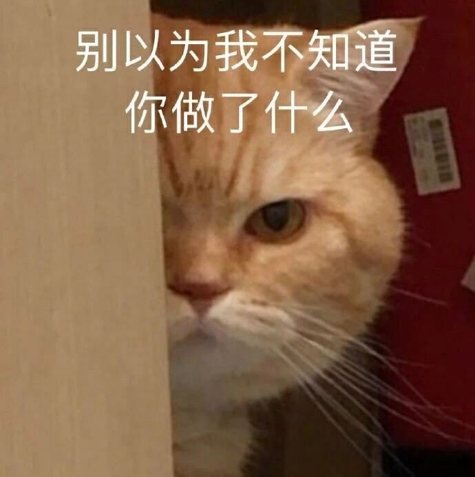 沙雕猫咪表情包10