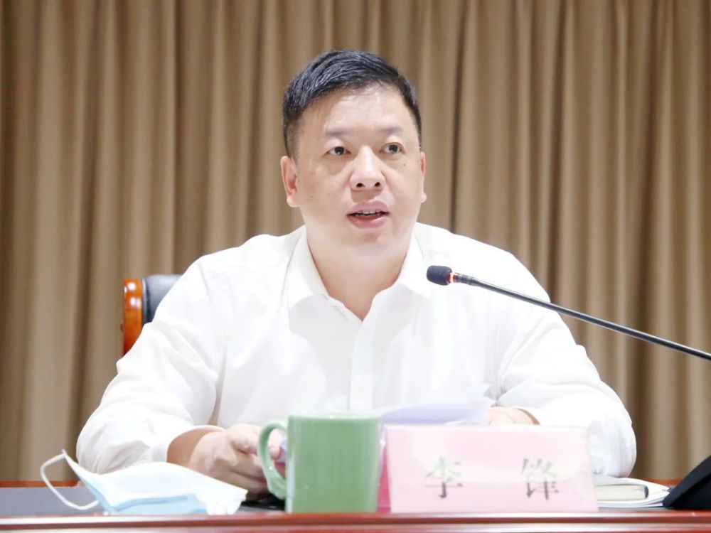 县委副书记,县长,县国动委主任李锋主持会议.