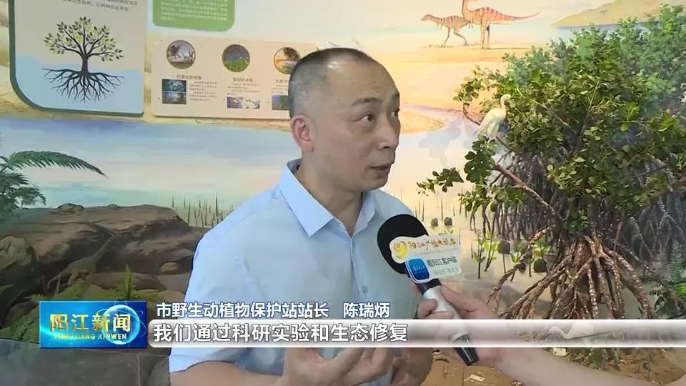 陈瑞炳潜心研究生物多样性发展为阳江构筑生态屏障