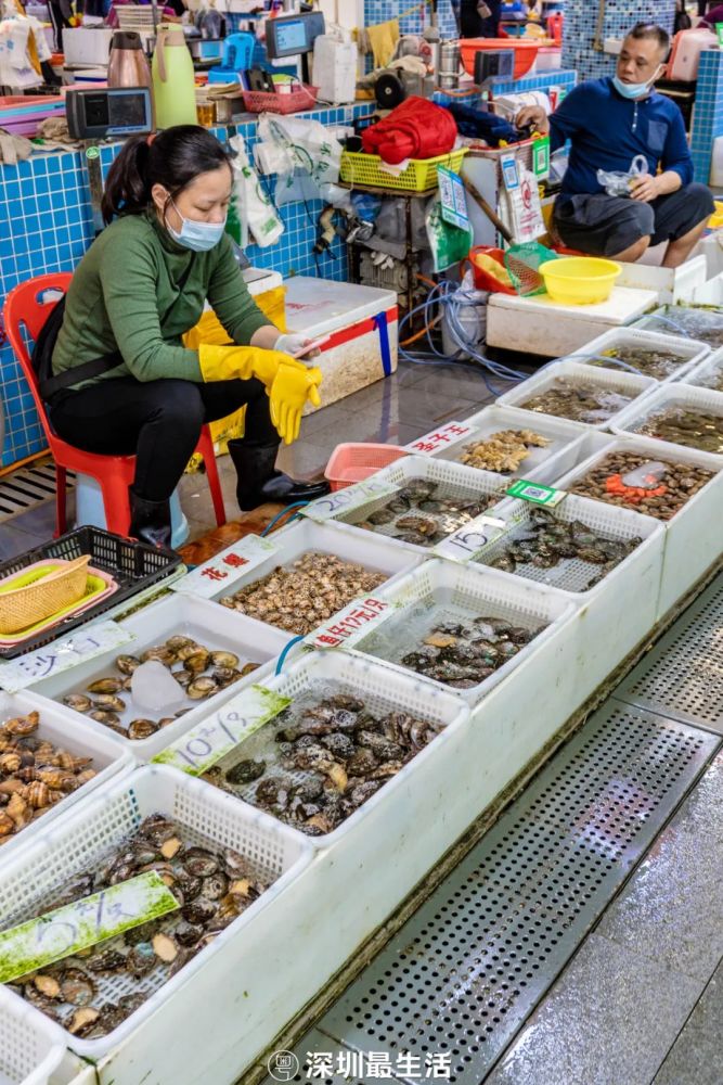 深圳这个老牌海鲜市场10元3只鲍鱼生蚝比巴掌大没有256g的胃都不敢来